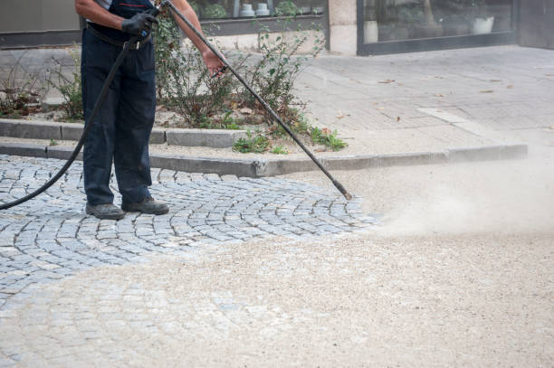 Best Gutter Cleaning  in Buffalo, SC